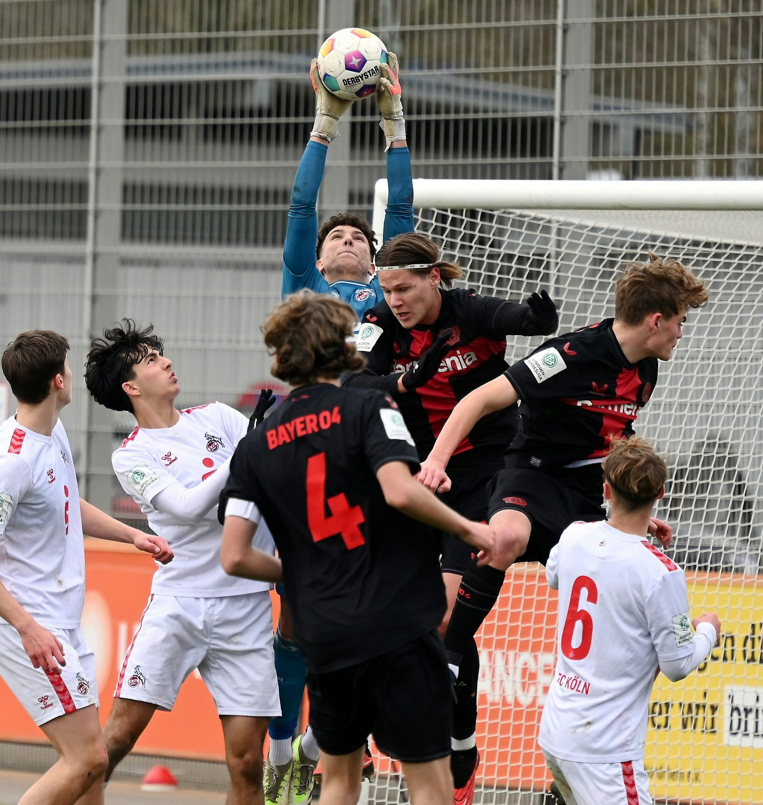 Nachwuchsfußball: 1. FC Köln gehen vor Duell mit Werder Bremen die Torhüter aus