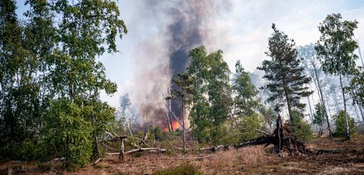 Waldbrände in Deutschland: Gefahr steigt an diesem Wochenende