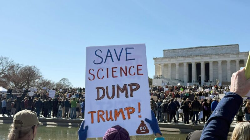 Kürzungen: Wissenschaftler protestieren gegen Trumps Politik