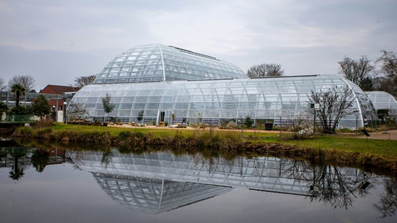 Schaugewächshäuser mit Mängeln: Neubau in der Kölner Flora verzögert sich erneut