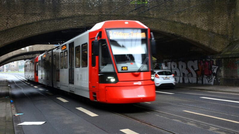 Bürgerbeteiligung gefordert: Kalkberg in Köln – Bürger lehnen neue Straße auf Grünfläche ab