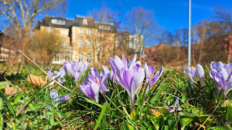 Familienausflüge für unter 30 Euro: Raus in den Frühling im Bergischen Land