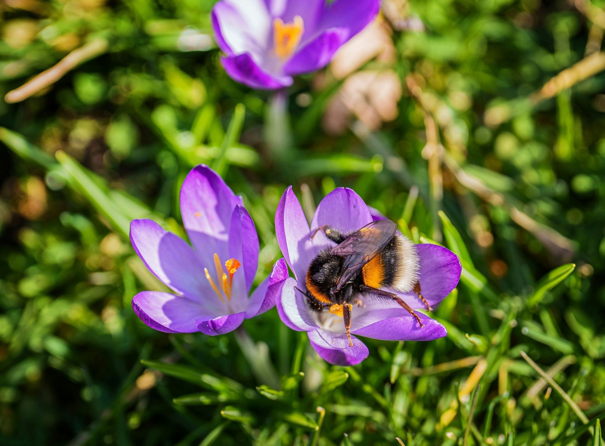 Wettervorhersage: Frühlingshafter Sonntag bringt bis zu 20 Grad